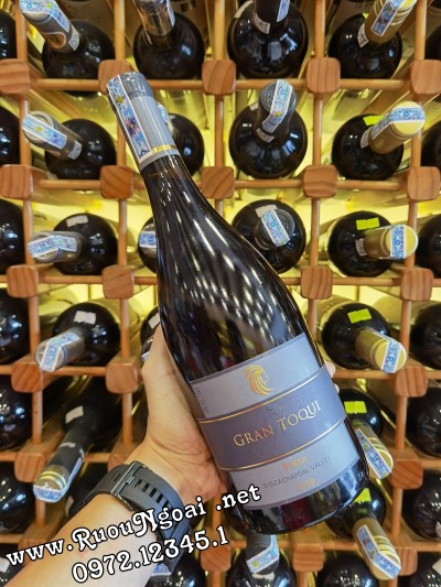 Rượu Vang Gran Toqui Syrah